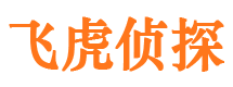 印台市私家侦探